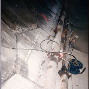 plave5