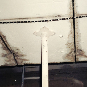 sokol5
